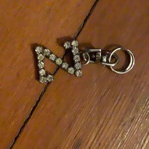 For a dogs collar a “Z” for a name